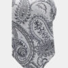 Silver-Paisley-Tie-from-Gentlemansguru.com