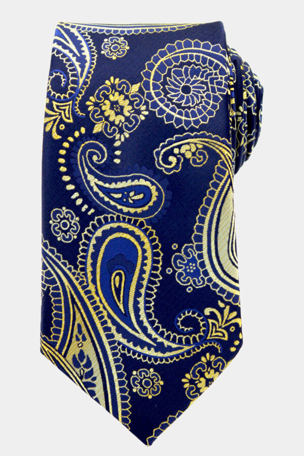 Navy-Blue-and-Gold-Paisley-Tie-from-Gentlemansguru.com_