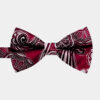 Maroon-Paisley-Bow-Tie-from-Gentlemansguru.com