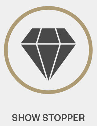 Show-Stopper-Icon-from-Gentlemansguru.com